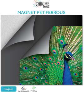 CHROME MAGNET PET FERROUS