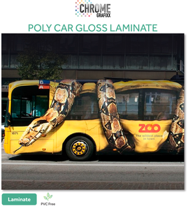 CHROME POLY GL LAM CAR TRANS/PERM