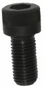 Cap Screw M 6 x 10mm (CA06010)
