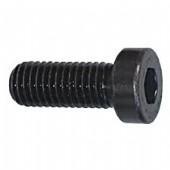 BRIGHTON BEST Cap Screw M 6 x 20mm (CL06020) Low Head
